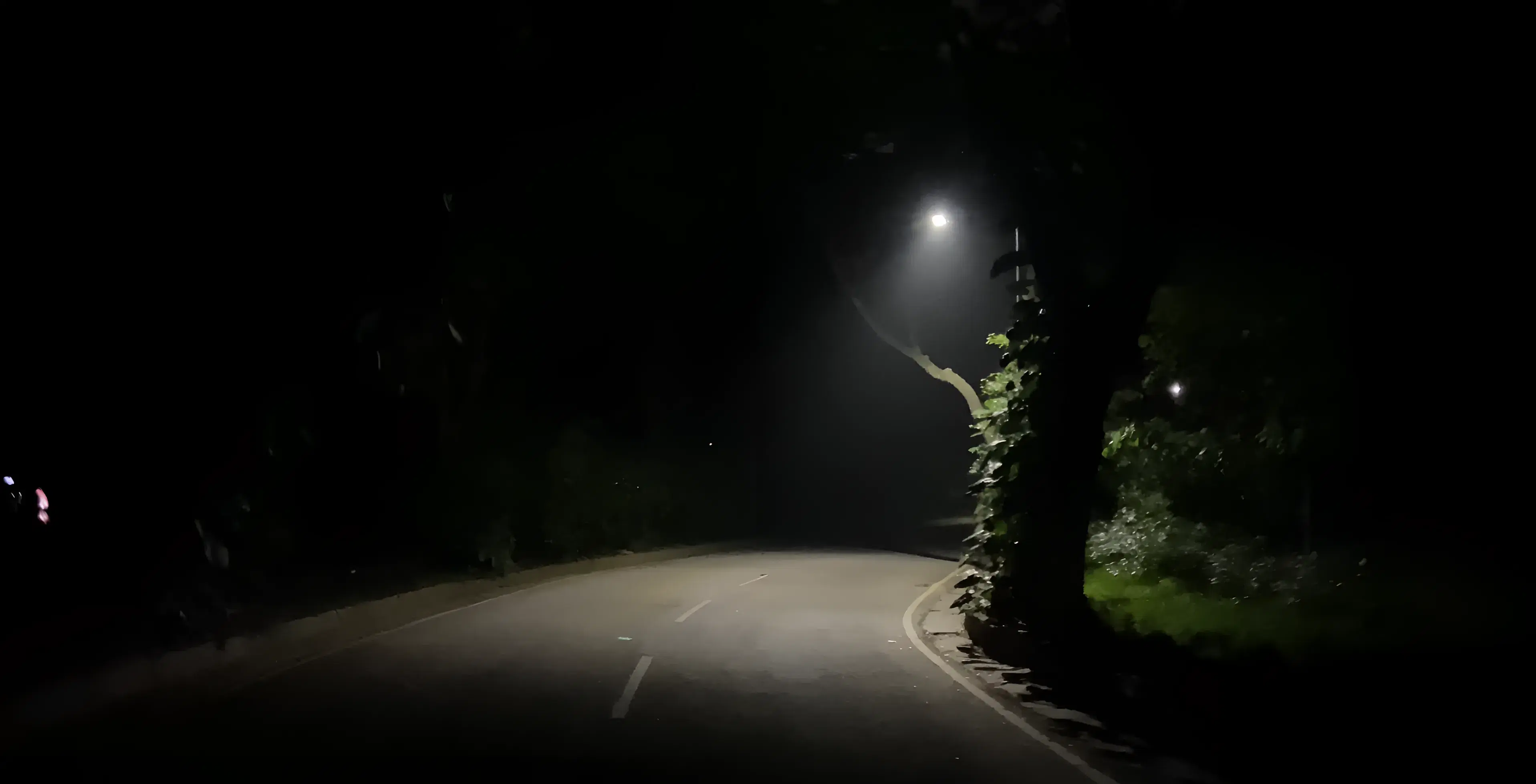 IIM Bangalore Campus photo 12